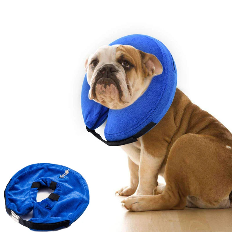 Inflatable Dog Collar For Dogs