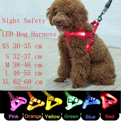 Nylon Dog Harness with Flashing Light