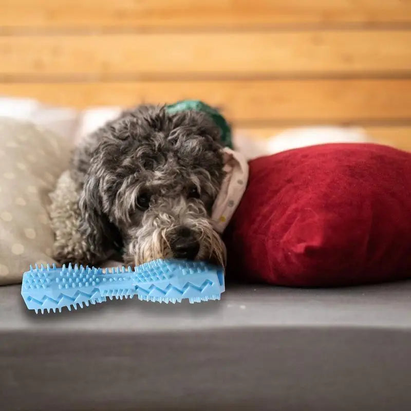 Dog Toys For Aggressive Chewers with Natural Rubber