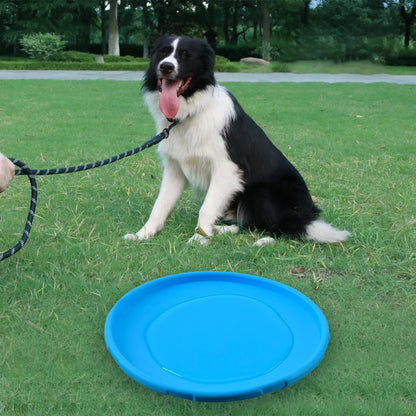 Pet Training Flying Disk Soft Play Toys