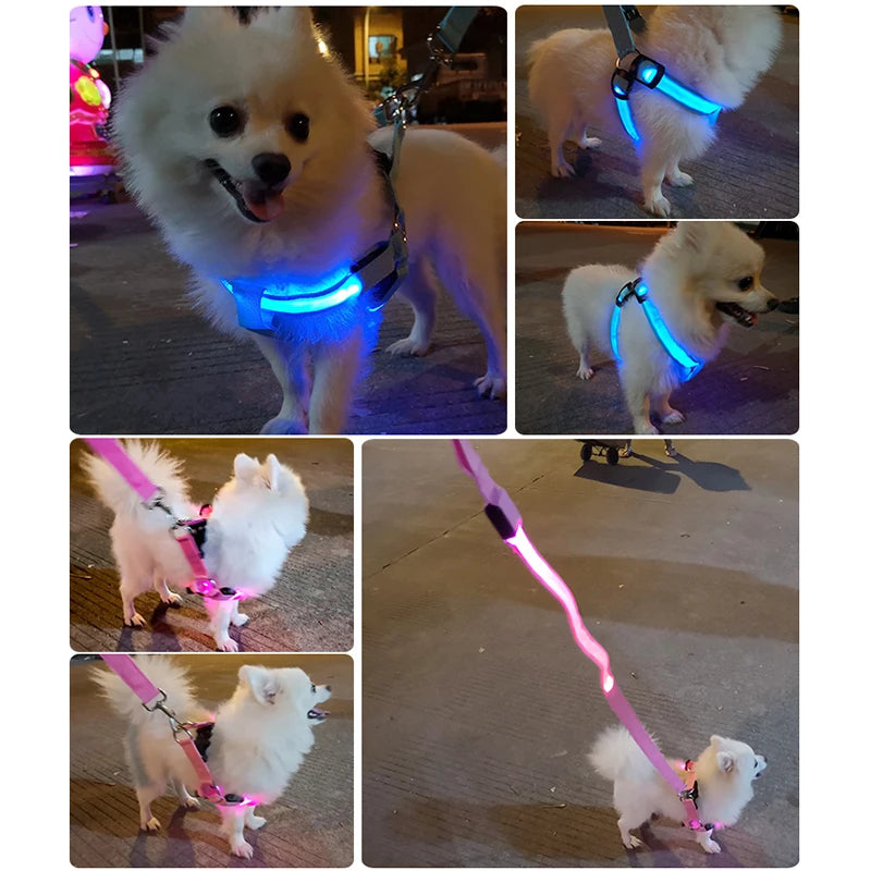 Nylon Dog Harness with Flashing Light