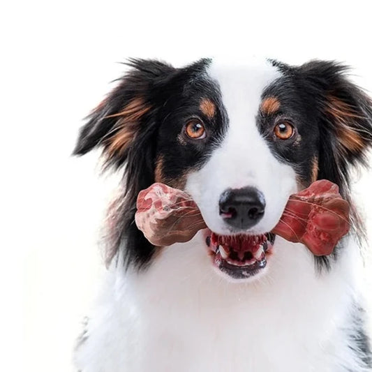 Chewable Bone-Shaped Indestructible Dog Toys