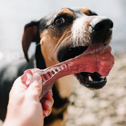 Chewable Bone-Shaped Indestructible Dog Toys